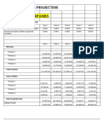 Profit and Loss Projection