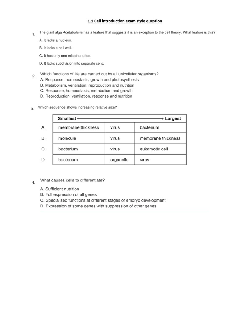 1.1 Cell Ws | PDF | Cell (Biology) | Cellular Differentiation