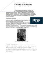 NEURONAS Y NEUROTRANSMISORES.pdf