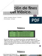 Extinción de Fines Del Triásico