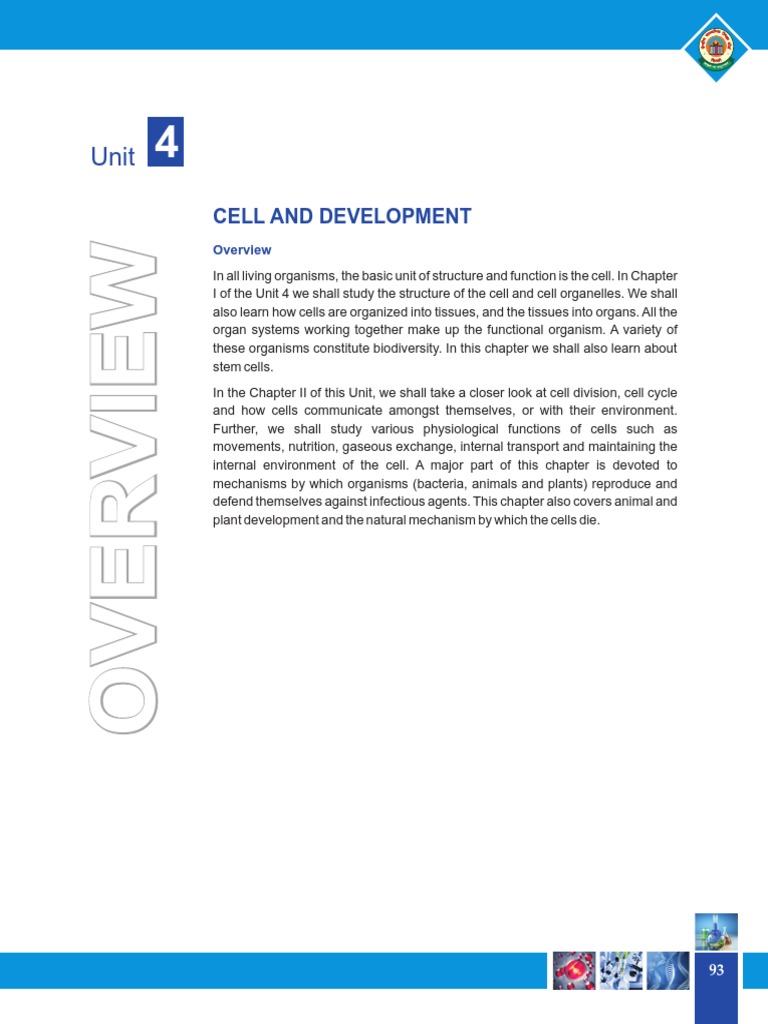 Unit 4 PDF | PDF | Epithelium | Cell Potency