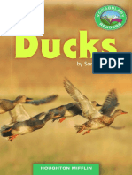 Ducks PDF