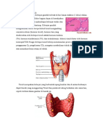 Makalah Tiroid Tiroksin