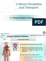 Chapter 2 - Transport System in Humans