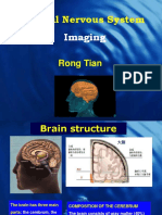 Central Nervous System Imaging: Understanding Brain Structure and Function Through Medical Scans