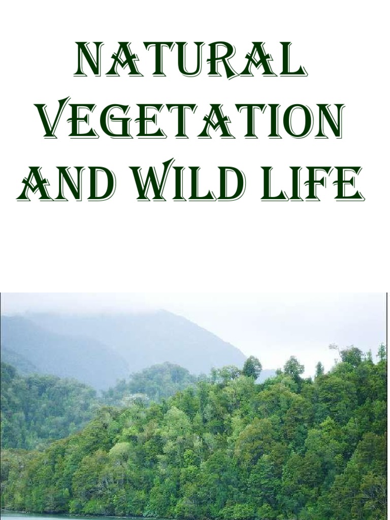 Natural Vegetation and Wild Life | PDF | Plants | Forests