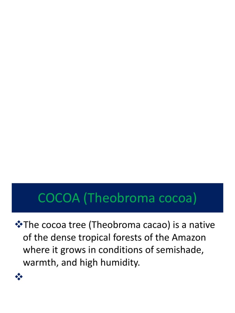 Cocoa Production PDF Cocoa Bean Chocolate