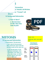 The Cell Cycle: Mitosis Explained in 40 Characters