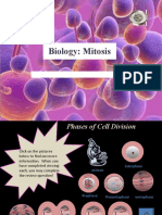 Mitosis Pptnew22
