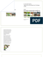 Agriculture Development Strategy