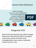 PCR (Polymerase Chain Reaction)