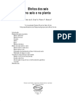 Efeitos da Salinidade no Solo e na Planta