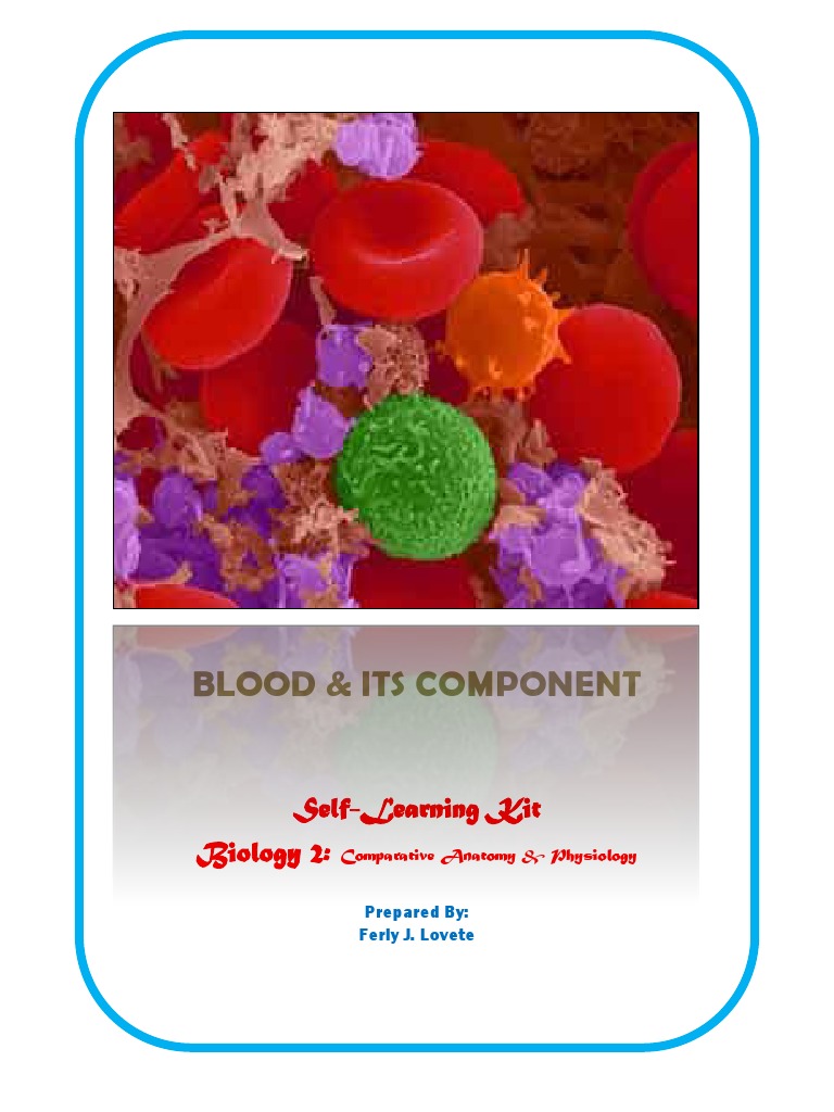 Blood Composition and Functions Overview | PDF | Red Blood Cell | Blood ...