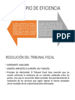 PRINCIPIO DE EFICIENCIA.pptx