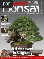 Esprit Bonsai International - December 2016 - January 2017