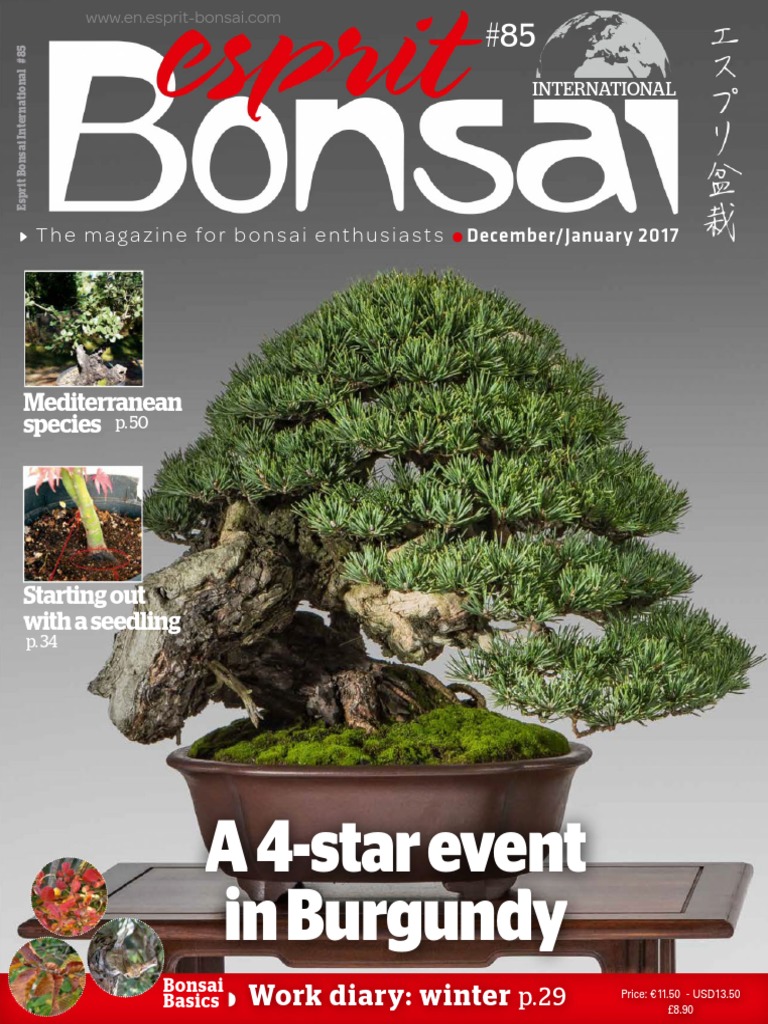 Esprit Bonsai International - December 2016 - January 2017, PDF, Bonsai