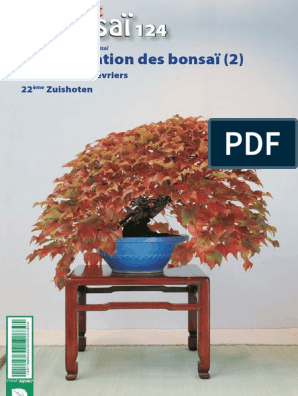 La BOUTURE, pour faire son premier Bonsaï – Vital Bonsai