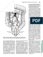 Chapter 193: Surgical Management of Ovarian Carcinoma: Sup. Rectal A. and V