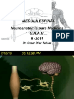 Medula Espinal