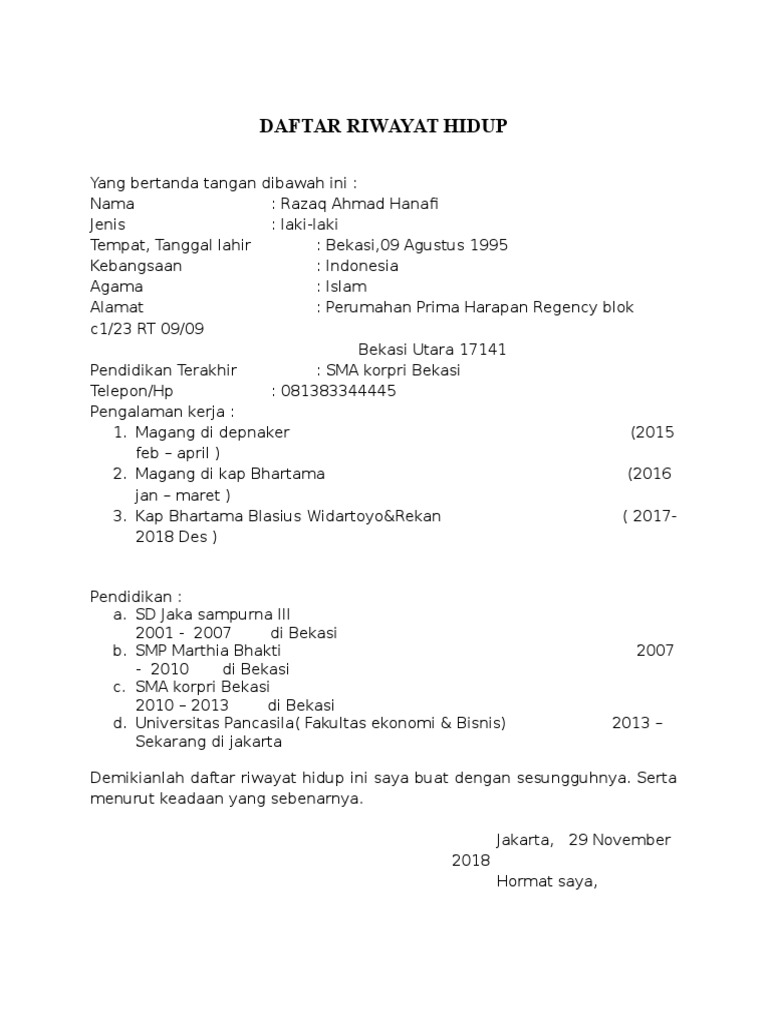 CV Razaq | PDF
