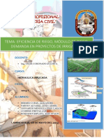 Eficiencia de Riego, Módulo de Riego, Demanda en Proyectos de Irrigación