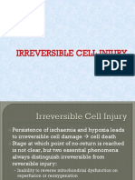 Irreversible Cells Injury