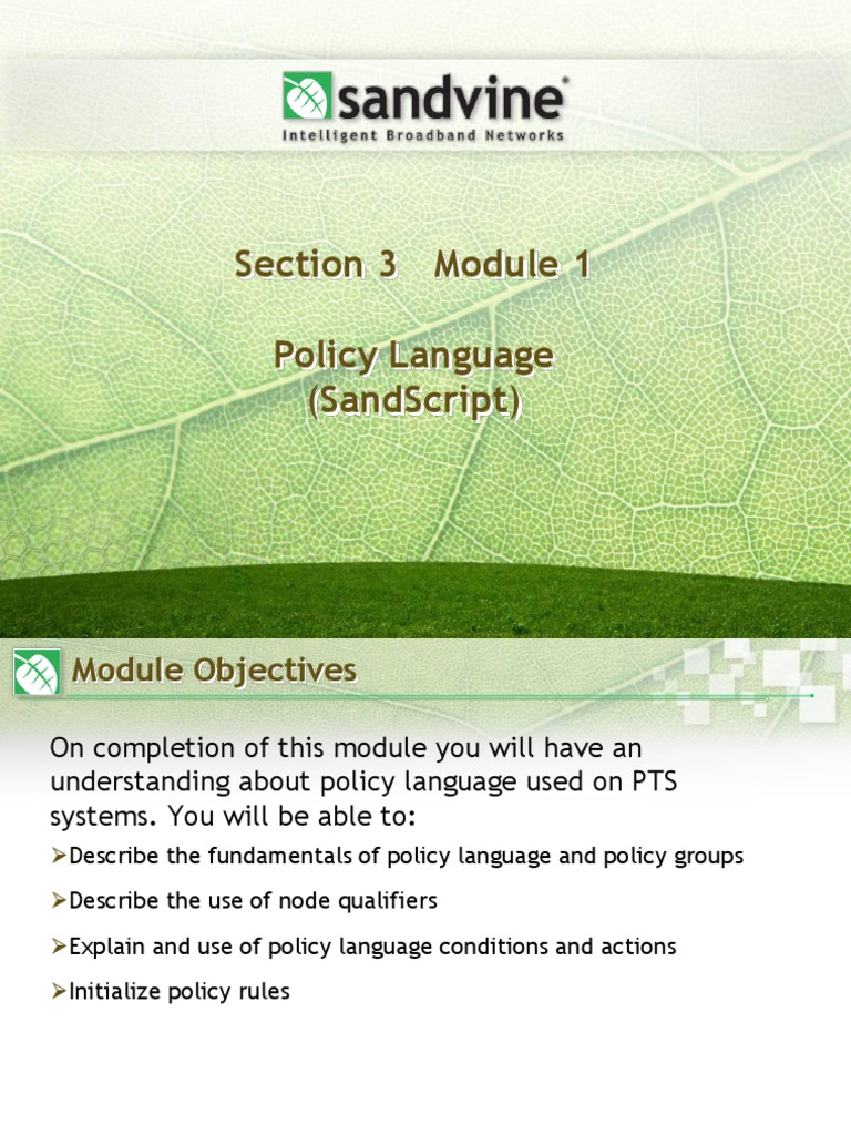 PTS Policy Language Guide | PDF | Transmission Control Protocol | Port ...