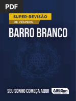 BARRO BRANCO SRV - Material 01 Compressed