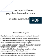 Garis Vertikal Khayalan, Payudara, Mediastinum