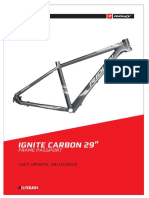 Ignite Carbon 29": Frame Passport