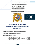 Matriz de Leopold Empresa de Tintoreria