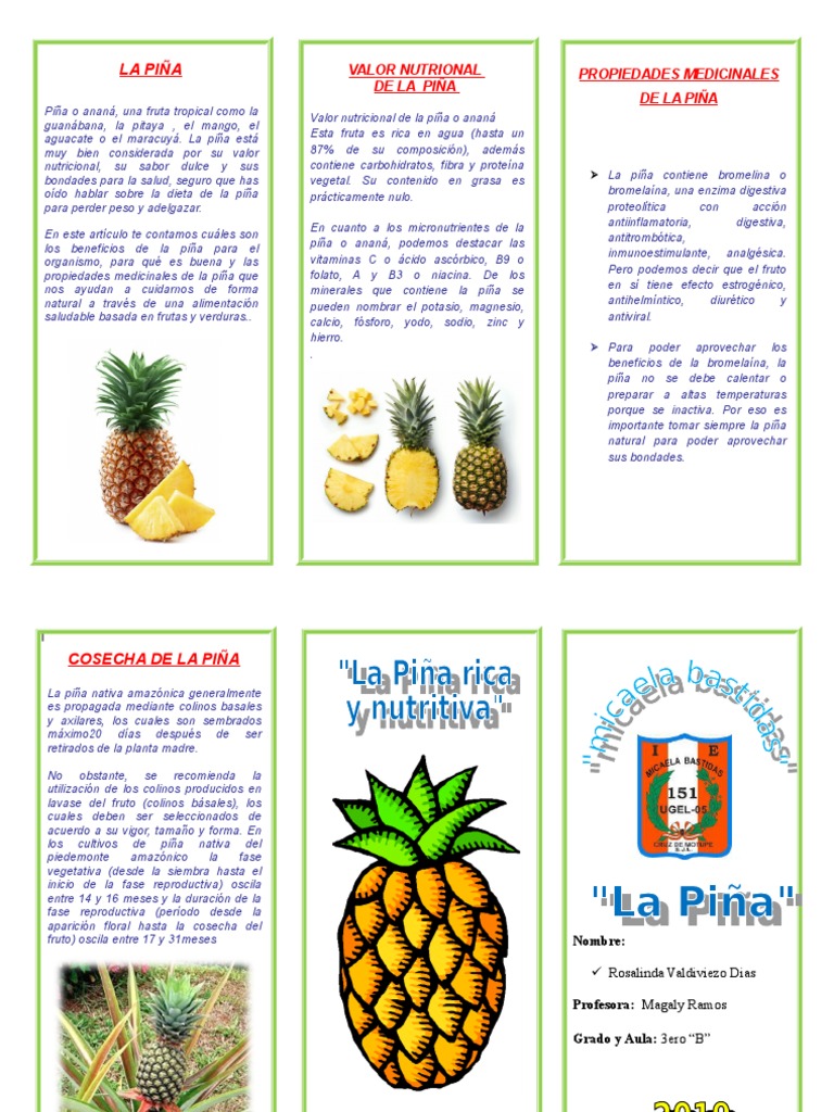 Beneficios y Propiedades de la Piña | PDF | Piña | Nutrición