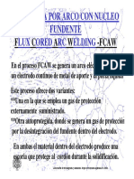 Monica Salazarproceso - FCAW PDF