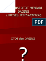 Konversi Otot Dan Daging