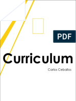 Curriculum: Carlos Ceballos
