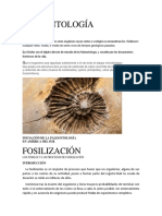 Paleontología Docx123