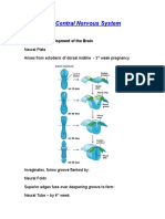 The CNS 101 DMSF 2019