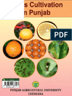 Citrus_Cultivation (1).pdf