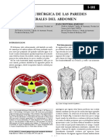 ANATOmíA qUIRúRgICA DE Las PAREDEs ANTEROlATERAlEs DEl AbDOmEN