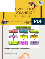 Biomoléculas Inorgánicas y Orgánicas