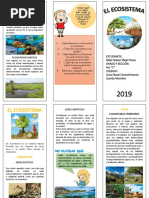 Mapa Conceptual Sobre Los Tipos de Ecosistemas | PDF | Tecnología