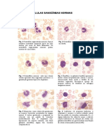 Hematologia