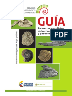 guia-para-reconocer-objetos-del-patrimonio-geologico-y-paleontologico.pdf