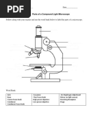 Microscope Quiz