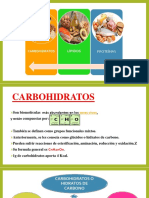 Carbohidratos Expo