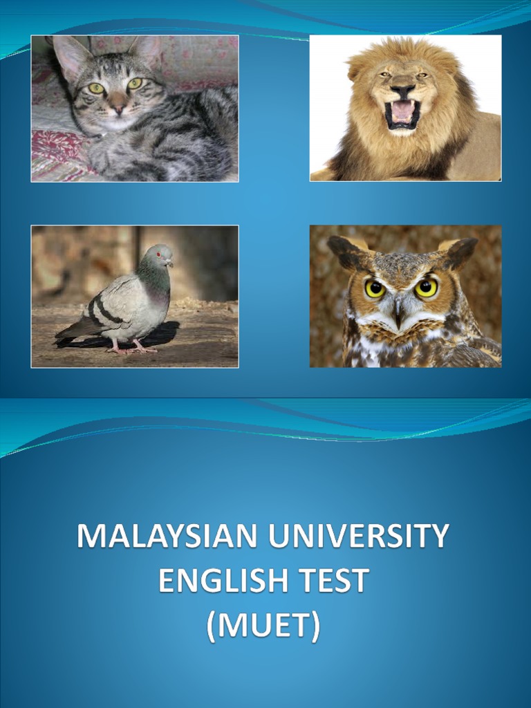 MUET: Malaysia's New English Qualification | PDF | International ...