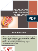 Perdarahan Post Partum - DR - Pahlevi, SP - Og (4298)