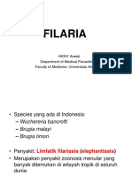 Filaria FF2