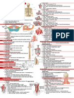 Gross HSB B - Anatomy of The Back & Suboccipital Region PDF