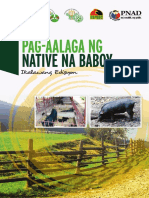 Pag-Aalaga NG Native Na Baboy